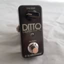 Tc Electronic   Ditto Looper