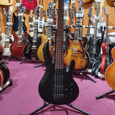 Caraya Bass for sale