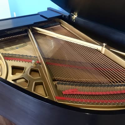 Kawai Grand Piano  Model 500 image 8