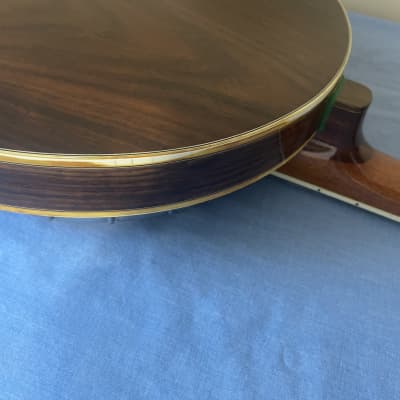 Vintage 1970’s Alvarez Deluxe Bowtie 5-string Banjo image 8