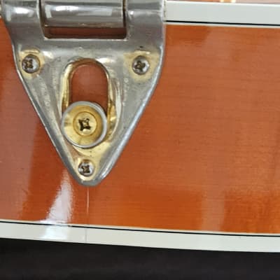 David Wallace Custom Guitar Robert Anderson Model AT-1030  2013 - Orange image 10