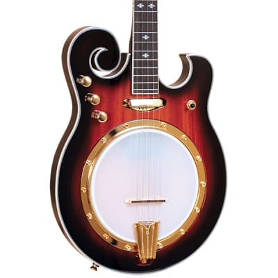 Gold Tone EBM-5 Electric Solid Body Maple Neck Mahogany Top 5-String Banjo - Tobacco Sunburst image 1