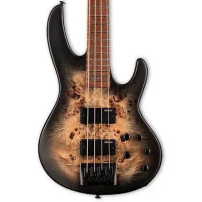 ESP LTD D-4 Bass Guitar(New) image 1