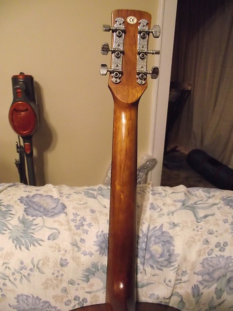 Epiphone ed100 top