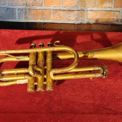 Midwest Cornet Horn Gold w/ Carrying Case image 2