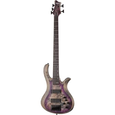 Schecter Riot-5 5-String Bass Guitar (Aurora Burst) for sale
