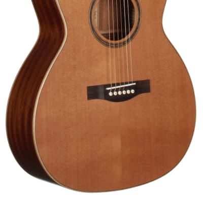Teton STA105NT Auditorium Guitar, Solid Cedar Top, Mahogany Laminated B&S for sale