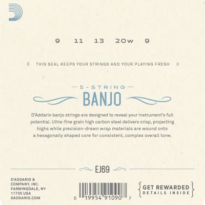 D'Addario EJ69 Phosphor Bronze 5-String Banjo Strings, Light, 9-20 image 2