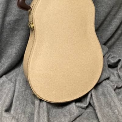 New B-Stock /Seconds TKL Hard Case for Rick Turner Model 1  Free ShippingGuitar Taupe/Brown image 4