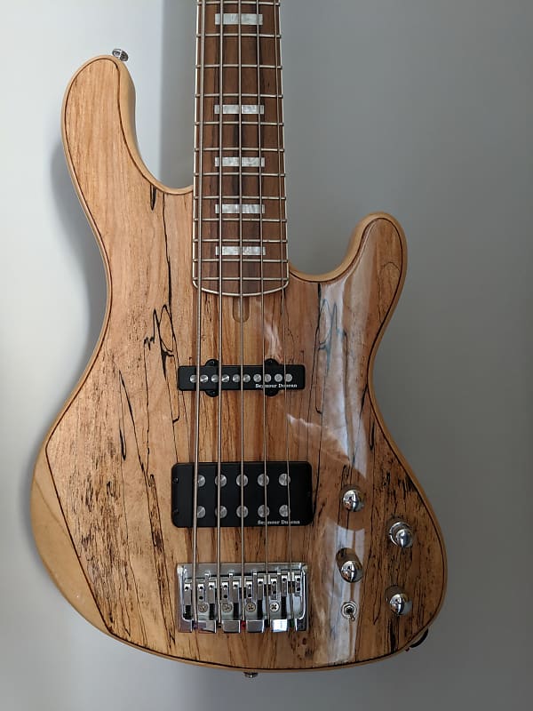 Cort GB5 Custom Maple Top 5 Strings GB5-Custom Bass Guitar w