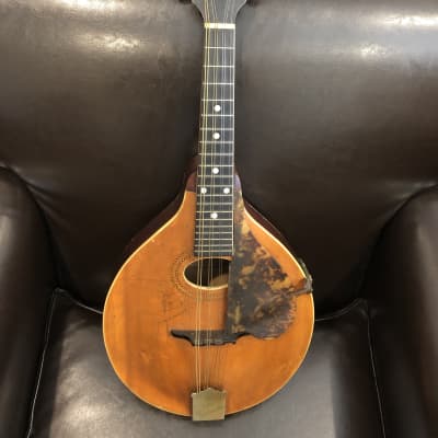Gibson A1 1916 Mandolin (Pumpkin) image 1