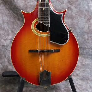 Gibson A5 (Two point) 1964 Cherry Sunburst image 1