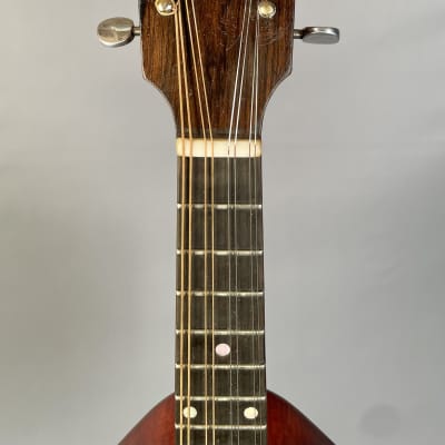 Weymann Style 12 Mando-lute Mandolin 1925 image 15