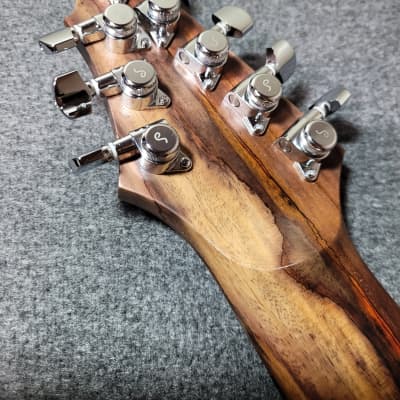Barlow Guitars  Osprey 8 2021 Spalted Cocobolo imagen 13