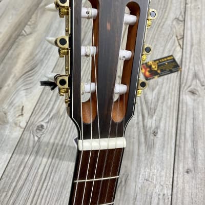 Ibanez #FRH10NNTF - Thinline Nylon Acoustic Electric Guitar, Natural image 6