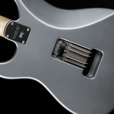 PRS Silver Sky John Mayer - Tungsten 2023 image 12