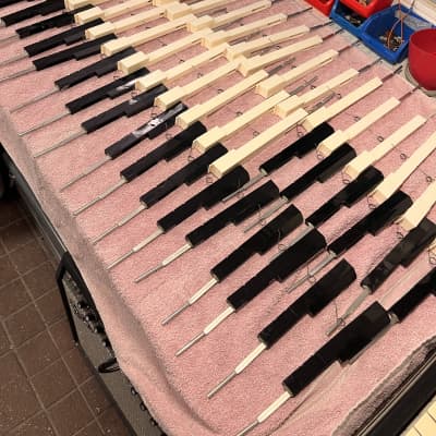 Hohner Combo Pianet with built-in transistor amp, rare model (completely restored) image 15