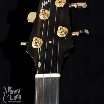 Nechville Midnight Phantom 24 Fret 5 String Mahogany Resonator Banjo image 10