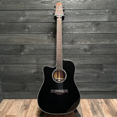Wood Song DCE Left Handed Black Dreadnought Acoustic-Electric Guitar image 11