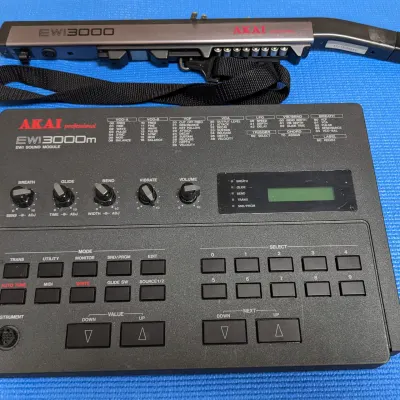 [！超貴重！]AKAI EWI3000m Akai EWI3000m For Sale – Tone Tweakers Inc.