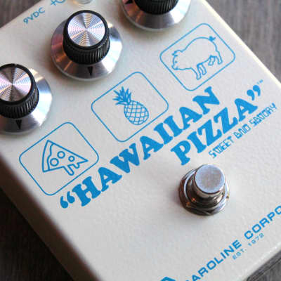 CAROLINE  "Hawaiian Pizza Fuzz" image 4