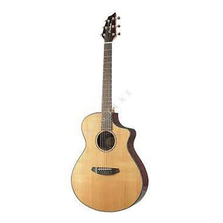 Breedlove stage sales concert ce