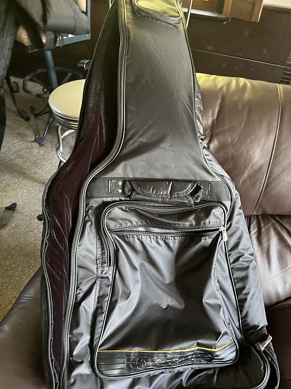 Warwick Acoustic bass guitar case 2020 Reverb