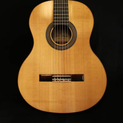 Classical Guitar Indian Rosewood 2017 - French polish image 1