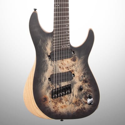 Agile 10 String Fan Fret Guitar w/ stainless frets & Fishman