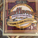 Ernie Ball 2063 Earthwood 80/20 Bronze 5-String Banjo Bluegrass Strings (9-20w) 2 Full Sets