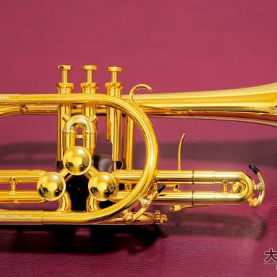 Schagerl Berlin Bb/A Piccolo Trumpet - Gold Plated | Reverb