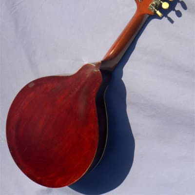 1916 Gibson 'A' Model Mandolin: Featherweight, All Carved Body, Varnish Finish, Bright Clear Voice, Gleaming Condition image 4