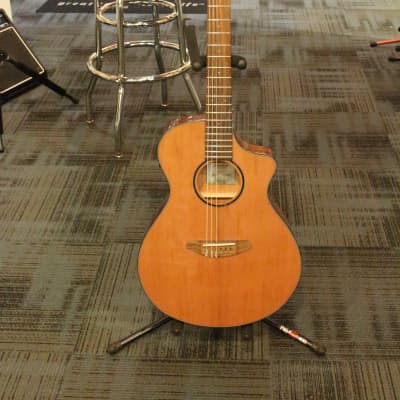 Breedlove Discovery S Concert Nylon CE Natural image 9