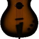 Danelectro Convertible Acoustic-Electric Guitar