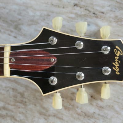 Briggs Guitars Apollo Special ASP s/n 1301 ( Artisian Series Program) #14 2014 - Gloss Nitro image 10
