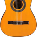 Ibanez GA1 Classical Series  Acoustic Guitar Amber High Gloss NEW