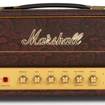 Marshall SV20H Studio Vintage Snakeskin Limited Edition | Reverb