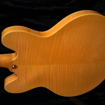 KARERA 335-Style Semi-Hollow Body Electric Guitar *BEAUTIFUL with WARM-TONE & *FREE Hard-Shell Case!!! image 3