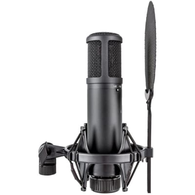 sE Electronics sE2200 | Large Diaphragm Multipattern Condenser Microphone. New with Full Warranty! image 5