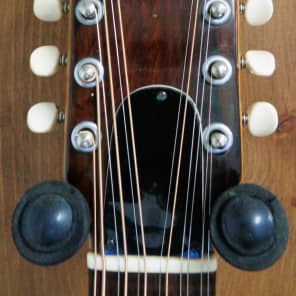 Giannini AWKS-12 12 String Acoustic guitar w/ OHSC image 5