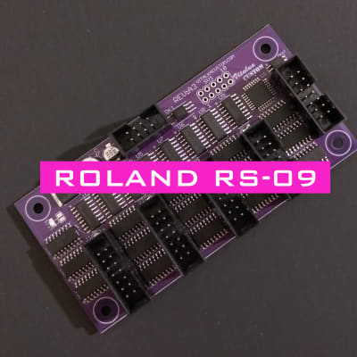 Roland RS-09 MIDI kit retrofit Vitalka Custom