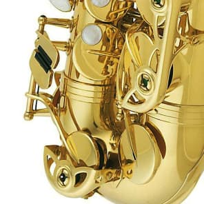 Strauss Student / Intermediate Alto Saxophone w/ Case and Mouthpiece image 5