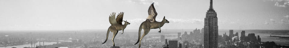 The Flying Kangaroo - NYC