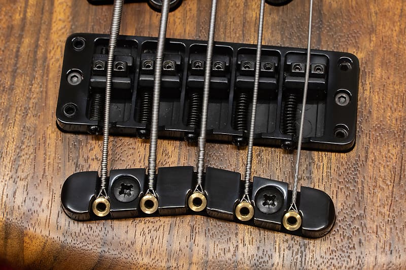 outlet】Warwick / Team Build PS Thumb Bass BO 5 TS NAT B