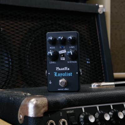 ギター PastFx elastic mattress Elastic Mattress Flanger