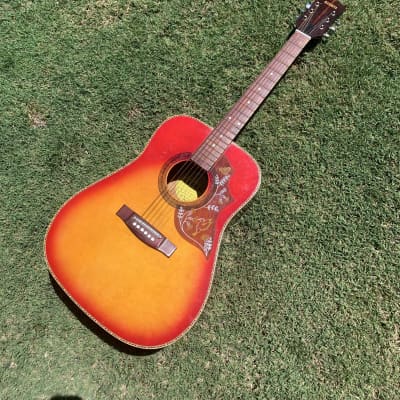 Global acoustic 2024 guitar hummingbird