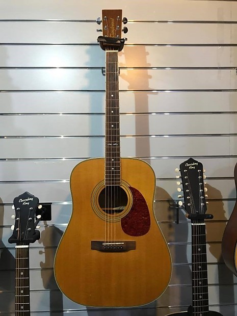 Tanglewood earth 200 best sale