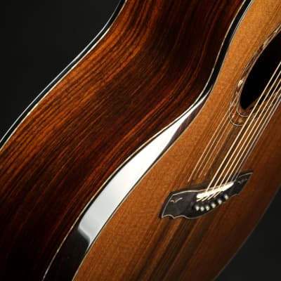 Kevin Ryan  Nightingale Grand Soloist Old Growth Redwood & Rosewood 2013 *VIDEO* image 20