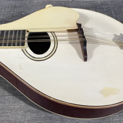 Gibson A-3 Mandolin 1920 - White image 4