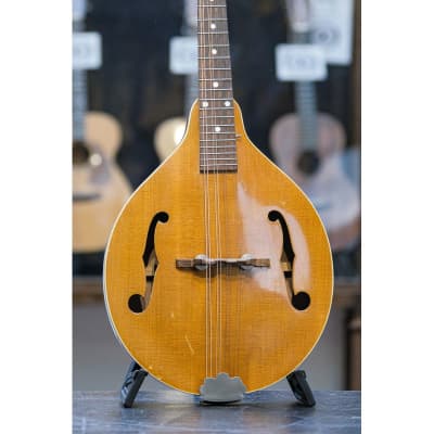 1950s Gibson A-40 natural image 2